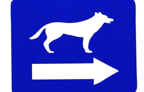 Solutia in problema maidanezilor: Indicatoare de avertizare