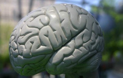 Al saselea simt este doar un mecanism cerebral