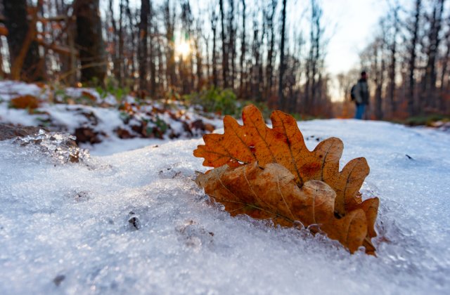 Prognoza meteo - 19 decembrie 2021. Cer înnorat însoțit de ninsori în anumite regiuni