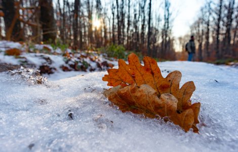 Prognoza meteo - 19 decembrie 2021. Cer înnorat, pe alocuri însoțit de ninsori