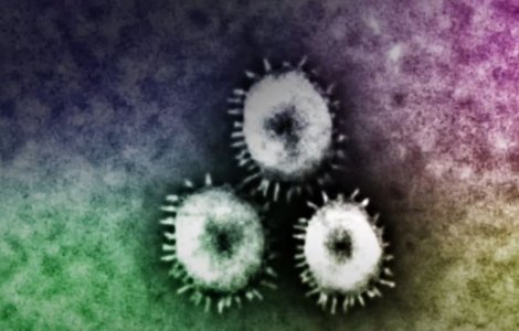 Sunetul COVID, scos la vânzare. Au fost create 10.000 de piese