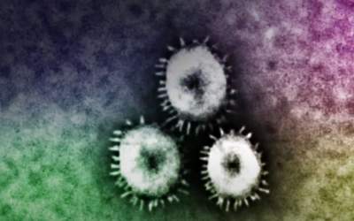 Sunetul COVID, scos la...