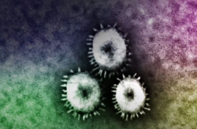 Sunetul COVID, scos la vânzare. Au fost create 10.000 de piese 