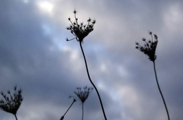 Meteo: Starea vremii la inceputul saptamanii