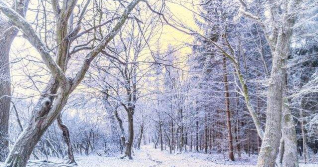 Ninsori si ger pana pe 2 februarie: Prognoza meteo in urmatoarele doua saptamani