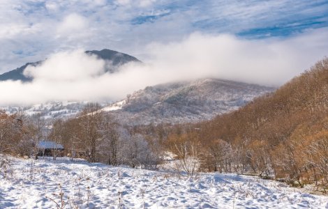  Top  Vremea pentru ziua de joi, 16 decembrie 2021. Atmosfera rămâne mohorâtă