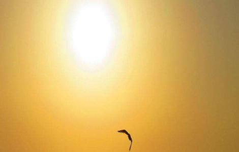 NASA: 2013, unul dintre cei mai calzi ani din ultimii 133 de ani