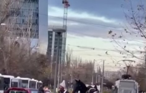 VIDEO Jandarmul care a căzut de pe cal la parada de 1 Decembrie este anchetat de procurorii militari