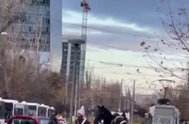 VIDEO Jandarmul care a căzut de pe cal la parada de 1 Decembrie este anchetat de procurorii militari