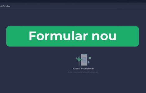 VIDEO Formularul de localizare a pasagerului, obligatoriu de azi. Cum se completează PLF-ul, în 10 paşi simpli