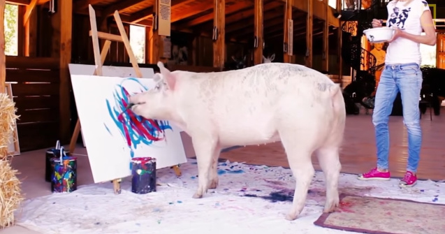 VIDEO Un porc a pictat un tablou ce a fost vândut cu 20.000 de lire sterline