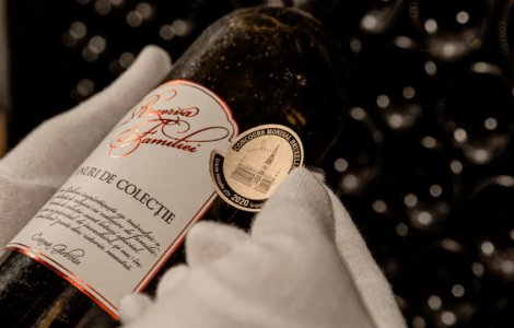 Cabernet Sauvignon și Merlot, cele mai răspândite și populare soiuri de struguri