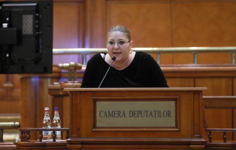 VIDEO Nou derapaj de limbaj al Dianei Șoșoacă, în Senat. „Penibilooo! Penibilooo ce eşti! V-aţi pus cu mine, o să vă ia dracu pe toţi!”