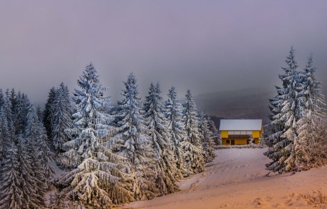  Top  Crăciun în Bucovina! Tradiții și obiceiuri din Țara Dornelor