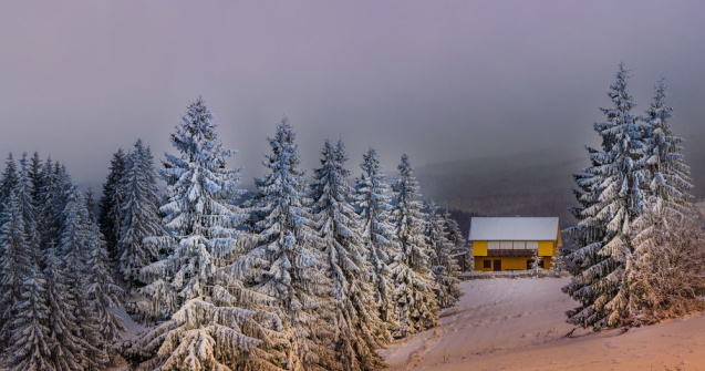  Top  Crăciun în Bucovina! Tradiții și obiceiuri din Țara Dornelor