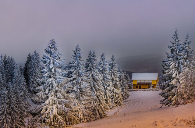 Crăciun &icirc;n Bucovina! Tradiții și obiceiuri din Țara Dornelor