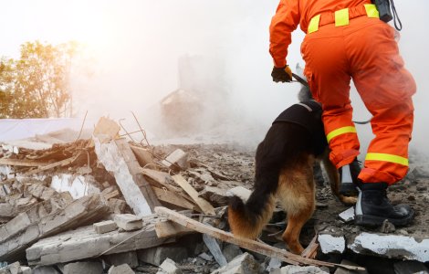 10 dezastre meteorologice din 2021. Pagubele se ridică la 170 de miliarde de dolari