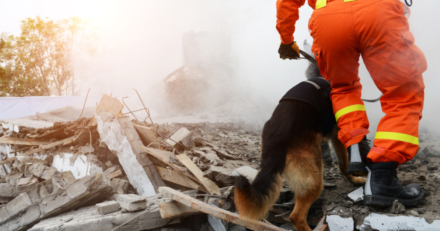 10 dezastre meteorologice din 2021. Pagubele se ridică la 170 de miliarde de dolari