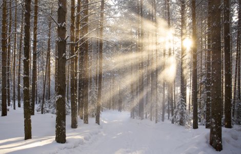 ANM: Cod galben de ceață în localități din 8 județe în următoarele ore