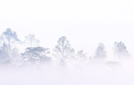 ANM: Atenționare de Cod galben de ceață în zone din 4 județe, în următoarele ore