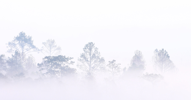 ANM: Atenționare de Cod galben de ceață în zone din 4 județe, în următoarele ore