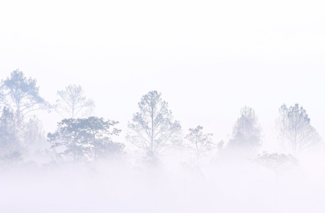 ANM: Atenționare de Cod galben de ceață în zone din 4 județe, în următoarele ore