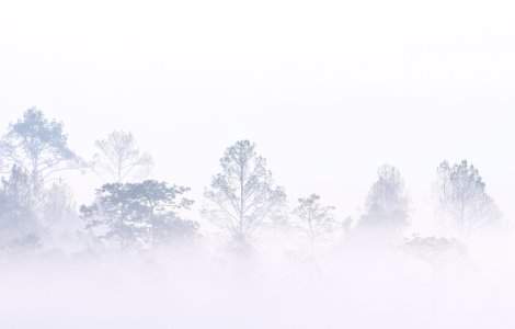 ANM: Atenționare de Cod galben de ceață în zone din 4 județe, în următoarele ore