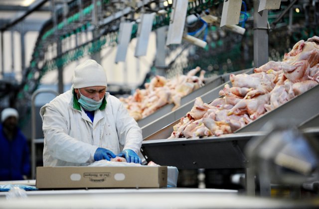 Români și bulgari, sclavi la abatorul Tönnies în Germania. Cum sunt exploatați