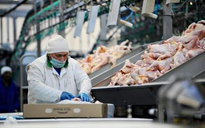 Români și bulgari, sclavi la...