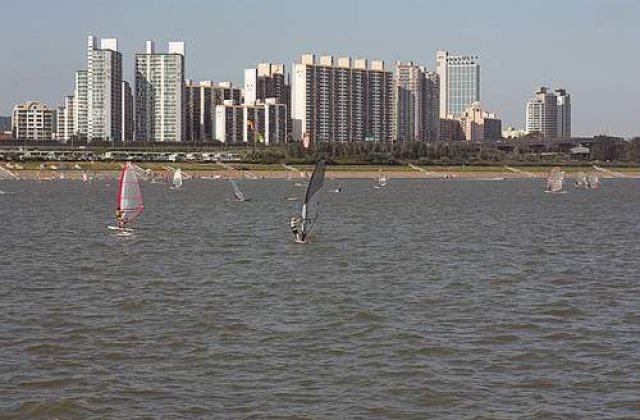 A murit sarbatorind victoria Coreei de Sud la CM