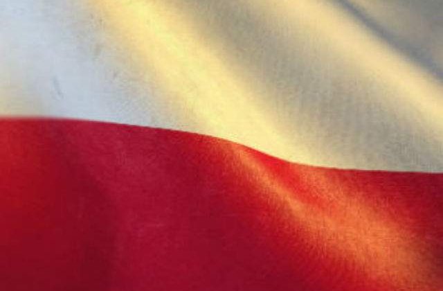Cresterea economica a Poloniei a incetinit anul trecut