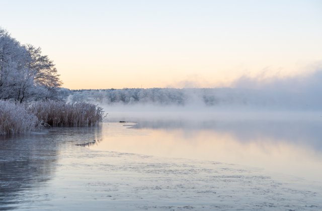 ANM: Cod galben de ceaţă şi polei în zone din 10 judeţe, în următoarele ore