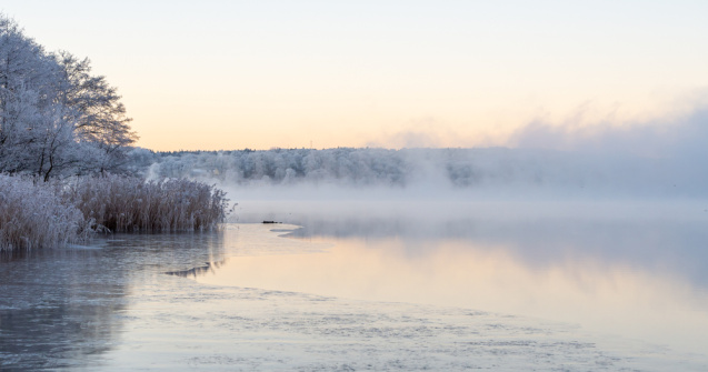 ANM: Cod galben de ceaţă şi polei în zone din 10 judeţe, în următoarele ore