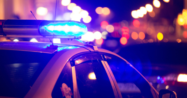 Un italian beat a încercat să intre în Muzeul „Colecțiilor de Artă” din Capitală