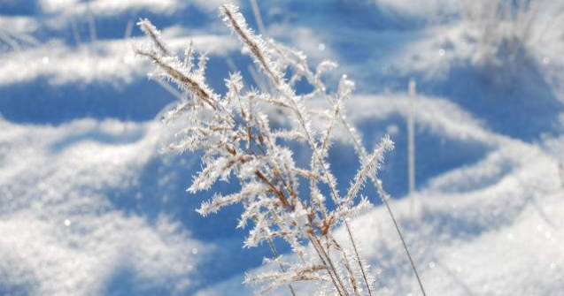 Cea mai scazuta temperatura din tara: Minus 23,6 grade la Miercurea Ciuc