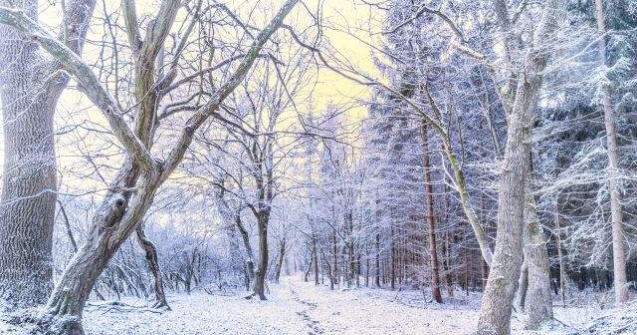 Duminica a fost inregistrata cea mai scazuta temperatura din 2014