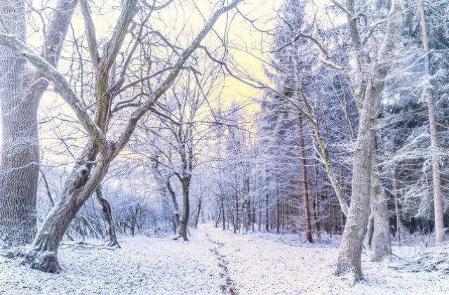 Duminica a fost inregistrata cea mai scazuta temperatura din aceasta iarna