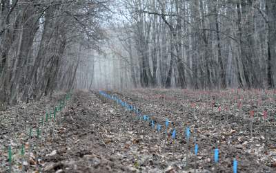 Legea prin care ultrajul...