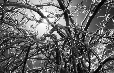  Top  Prognoza meteo pentru vineri, 7 ianuarie 2022. După vreme bună, vine înghețul!