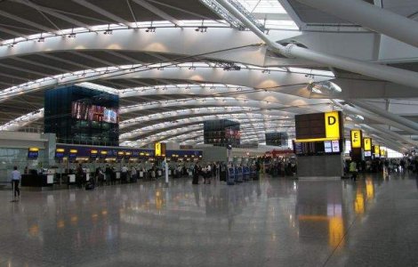 Doua romance, arestate pentru ca au furat 13 iguane din Bahamas