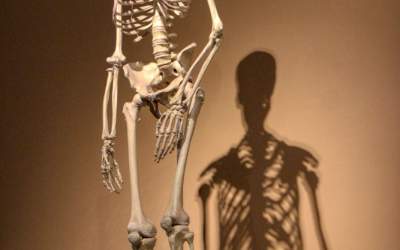 Și-a donat scheletul la...