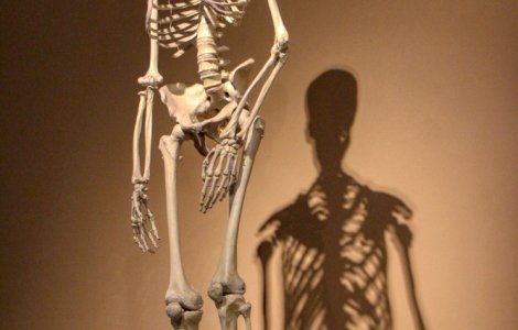 Și-a donat scheletul la Muzeul de Ştiinţe din Aiud. Povestea lui Nea Costică portarul