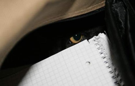 Scandalul de spionaj din SUA ia amploare