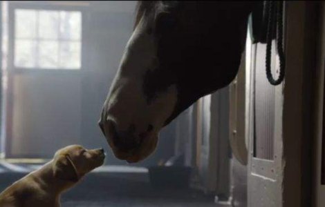  Video  Reclama care a emotionat intreaga planeta intr-un minut!