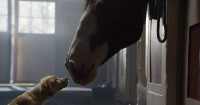  Video  Reclama care a emotionat intreaga planeta intr-un minut!