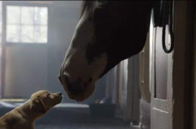 [VIDEO] Reclama care a emotionat intreaga planeta intr-un minut!