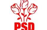 CExN al PSD valideaza joi lista candidatilor la europarlamentare