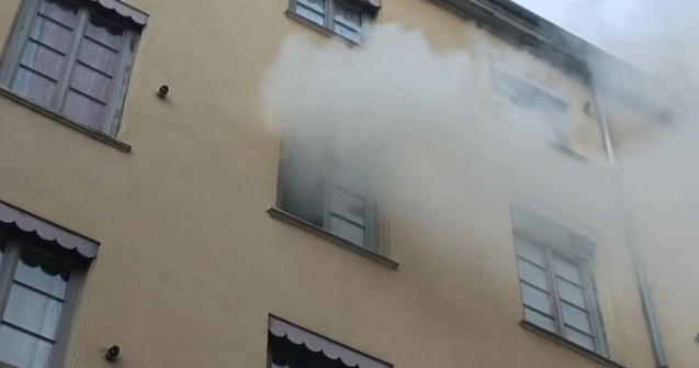 Jandarmii francezi au greșit casa: Au tras o grenadă cu gaz în camera unei fetițe de 12 ani