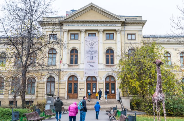 Intrare gratuită la Muzeul Naţional de Istorie Naturală „Grigore Antipa” de Ziua Culturii Naţionale