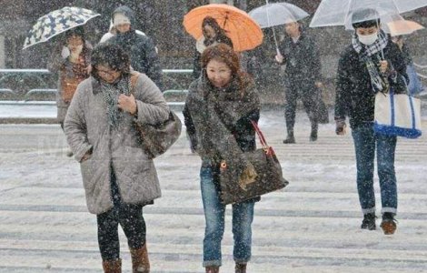 Doi morti si aproape 100 de raniti, in Japonia, din cauza vremii